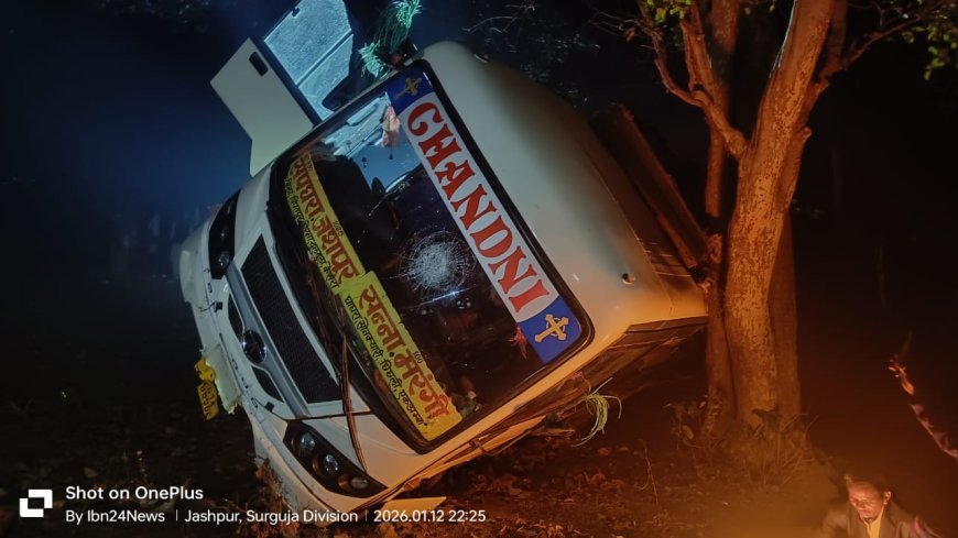 जशपुर में अवैध लकड़ी तस्करी पर बड़ी कार्रवाई, लावारिस पिकअप से 60 हजार की शीशम लकड़ी जब्त