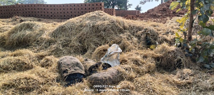 अमेरा–रेहर खदान में कोयला चोरी का बड़ा नेटवर्क, बाइकर्स गैंग के जरिए ईंट भट्टों तक पहुंच रहा अवैध कोयला