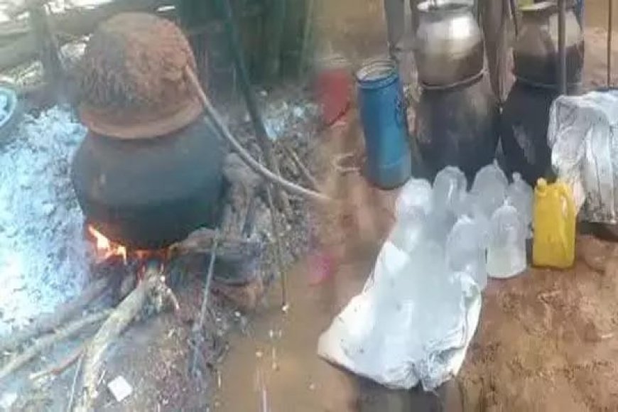 कोयलांचल चिरमिरी में अवैध महुआ शराब का बोलबाला, पुलिस सख्त लेकिन आबकारी विभाग की रहस्यमयी चुप्पी