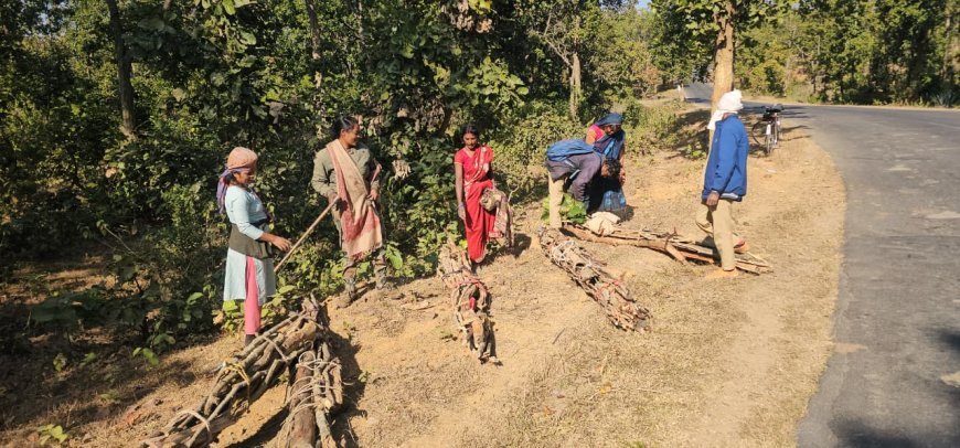 पर्यावरण रक्षा की मुहिम: देवगढ़ वन विभाग ने महिलाओं को दी सूखी लकड़ी उपयोग करने की समझाइश, अवैध कटाई पर सख्त कार्रवाई