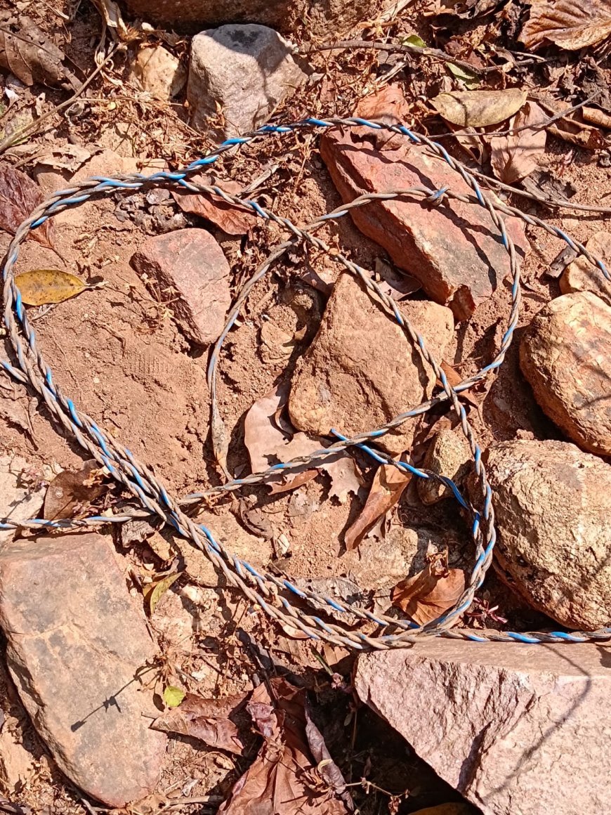 दंतेवाड़ा के बारसूर क्षेत्र में सुरक्षाबलों की बड़ी कामयाबी, जंगल से दो IED बरामद