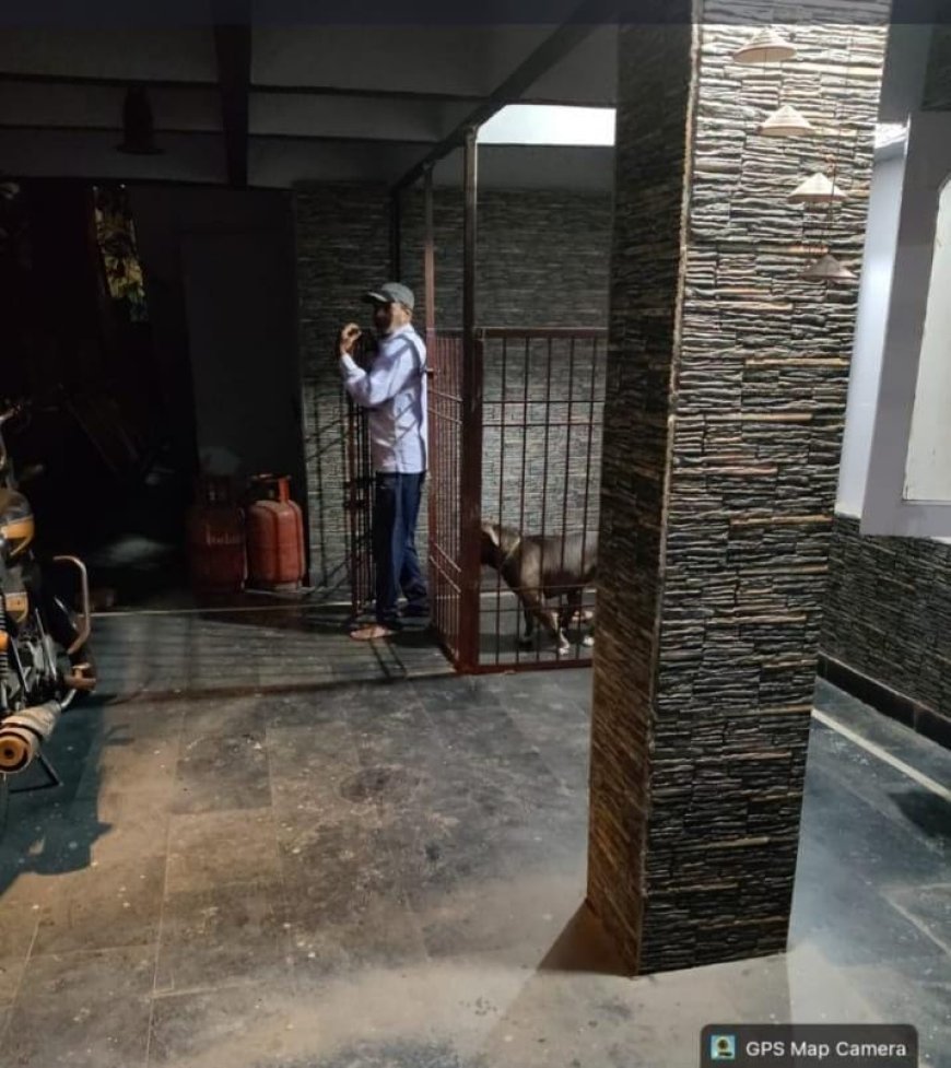 नगर निगम का सख्त रुख: प्रतिबंधित पिटबुल कुत्ता रखने पर अनुपम नगर निवासी को नोटिस, दंडात्मक कार्रवाई की चेतावनी