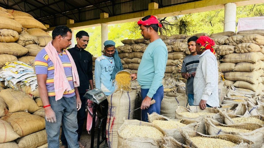 उचित मूल्य और समय पर भुगतान से किसानों को मिला सहारा, धान खरीदी से बढ़ा भरोसा