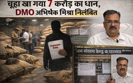 ‘चूहा-दीमक’ बयान पड़ा भारी, कवर्धा डीएमओ पर गिरी निलंबन की गाज, डीएमओ अभिषेक मिश्रा निलंबित