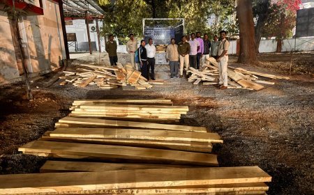 Mahasamund News : टेमरी जाँचनाका में अवैध सागौन परिवहन का भंडाफोड़, महिंद्रा पिकअप वाहन जब्त