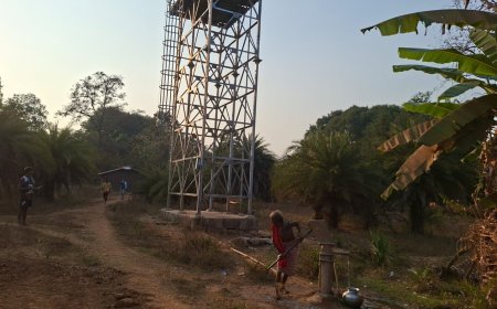 टेट्राई पंचायत के आश्रित गांव तोलनाई में ‘नल-जल’ योजना फेल, 4 साल से सूखा पड़ा नल