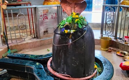 महाशिवरात्रि पर शिवकोकड़ी शिव मंदिर में उमड़े लाखों श्रद्धालु, स्वयंभू शिवलिंग बना आस्था का केंद्र