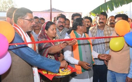 मंत्री लक्ष्मी राजवाड़े ने ग्राम पालदनौली ओड़गी में पूरक पोषण आहार यूनिट का किया शुभारंभ, महिला समूह को मिला सशक्त मंच