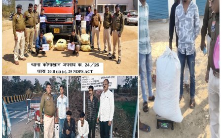 ऑपरेशन “निश्चय” के तहत महासमुंद एंटी नारकोटिक टास्क फोर्स की बड़ी कार्रवाई, 187 किलो गांजा जब्त, 6 तस्कर गिरफ्तार