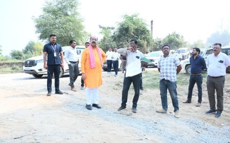 उप मुख्यमंत्री अरुण साव ने कारीडोंगरी–दरवाजा पुल निर्माण का किया निरीक्षण, धीमी प्रगति पर अधिकारियों को लगाई फटकार