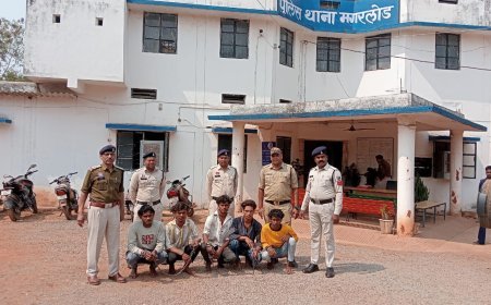 शादी के चौथिया कार्यक्रम में चाकूबाजी, मगरलोड थाना क्षेत्र के भोथीडीह में युवक की मौत, 7 आरोपी गिरफ्तार