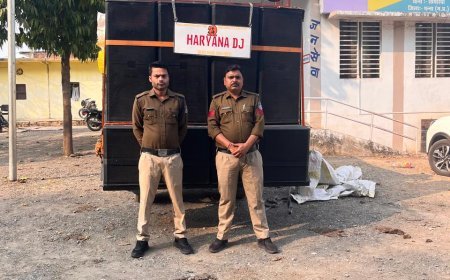 मोहन्द्रा में रात्रि डीजे बजाने पर बड़ी कार्रवाई, पिकअप वाहन व साउंड सिस्टम जप्त, मामला दर्ज