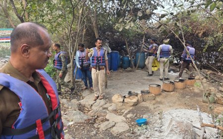 गंगरेल के ठेमली टापू में अवैध महुआ शराब निर्माण पर बड़ी कार्रवाई, धमतरी पुलिस ने 1000 लीटर लाहन किया नष्ट