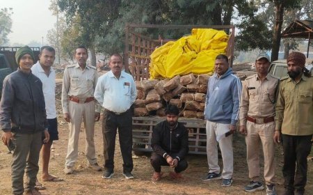 अवैध परिवहन पर वन विभाग की बड़ी कार्रवाई, 16 नग साल चिरान व 27 नग सागौन चिरान जप्त