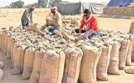 होली से पहले छत्तीसगढ़ के किसानों को मिलेगा 10 हजार करोड़ से अधिक का धान अंतर भुगतान, धमतरी जिले के 1.24 लाख किसानों को 434.77 करोड़ रुपये