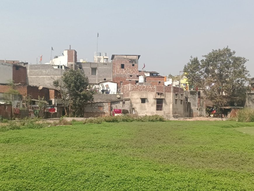 सर्वोदय तालाब पर बढ़ते अतिक्रमण के खिलाफ ग्रीन आर्मी ने उठाई आवाज