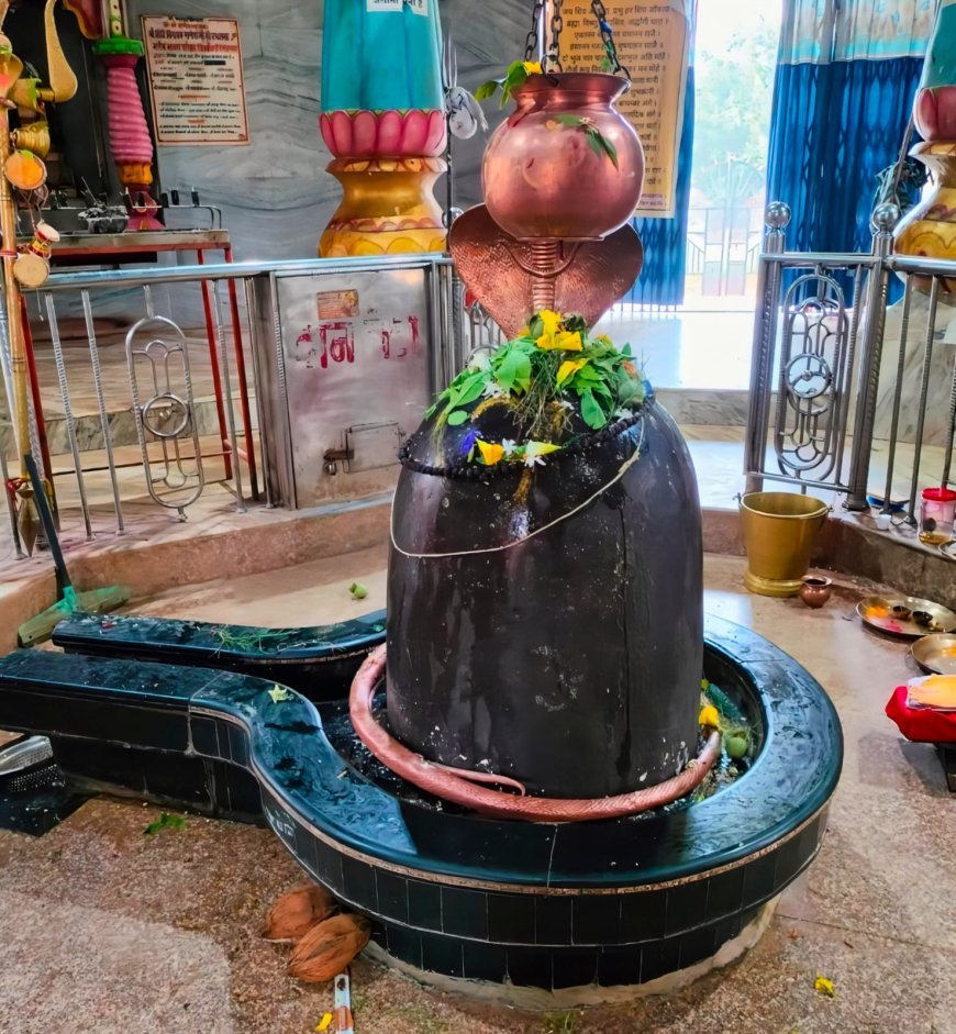 महाशिवरात्रि पर शिवकोकड़ी शिव मंदिर में उमड़े लाखों श्रद्धालु, स्वयंभू शिवलिंग बना आस्था का केंद्र