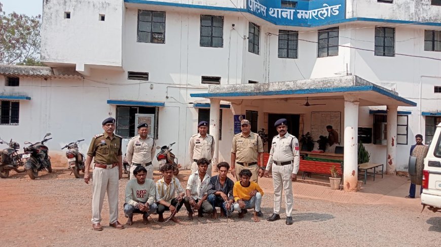 शादी के चौथिया कार्यक्रम में चाकूबाजी, मगरलोड थाना क्षेत्र के भोथीडीह में युवक की मौत, 7 आरोपी गिरफ्तार