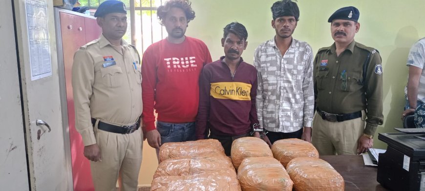 14.613 किलो गांजा के साथ 03 अंतर्राज्यीय तस्कर गिरफ्तार, न्यू राजेन्द्र नगर में बड़ी कार्रवाई