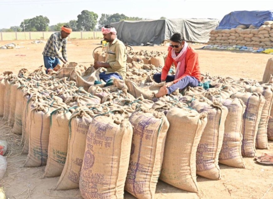 होली से पहले छत्तीसगढ़ के किसानों को मिलेगा 10 हजार करोड़ से अधिक का धान अंतर भुगतान, धमतरी जिले के 1.24 लाख किसानों को 434.77 करोड़ रुपये