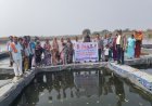 मछली पालन से टेमरी गांव में विकास की नई राह, बढ़ रही ग्रामीणों की आय