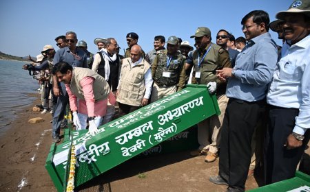 कूनो नदी में 53 घड़ियाल और 25 कछुओं का पुनर्वास, मुख्यमंत्री डॉ. मोहन यादव ने किया रिलीज कार्यक्रम