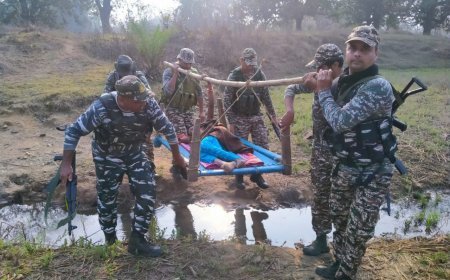 बैलाडीला की पहाड़ियों में मानवता की मिसाल: सीआरपीएफ जवानों ने खाट पर उठाकर गर्भवती आदिवासी महिला को पहुंचाया अस्पताल
