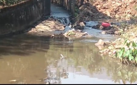 एनएमडीसी टाउनशिप का गंदा निस्तार जल नालों में, दंतेवाड़ा के ग्रामीणों की सेहत पर मंडराया गंभीर खतरा