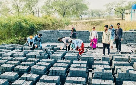 संघर्ष से सफलता तक: फ्लाई ऐश ब्रिक्स व्यवसाय से ‘लखपति दीदी’ बनीं ललिता साहू