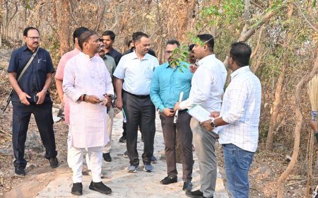 वन मंत्री केदार कश्यप ने ठेमली आईलैंड का किया निरीक्षण, ईको-टूरिज्म विकास कार्यों की समीक्षा