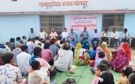 प्याज की उन्नत खेती को बढ़ावा देने कृषक प्रशिक्षण सह प्रक्षेत्र दिवस आयोजित, 100 से अधिक किसानों ने लिया प्रशिक्षण