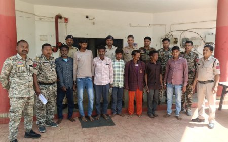 बलरामपुर में 4.75 करोड़ की अवैध अफीम खेती का भंडाफोड़, 7 आरोपी गिरफ्तार