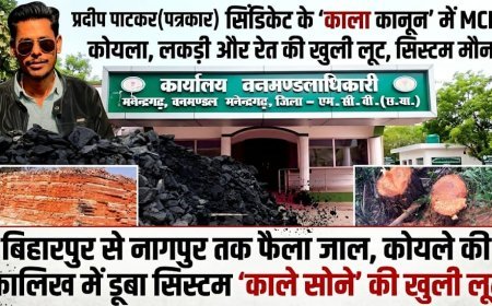 सिंडिकेट के 'काला कानून' में MCB; कोयला, लकड़ी और रेत की खुली लूट, सिस्टम मौन!