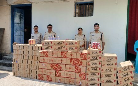 आलीराजपुर में झाड़ियों से 156 पेटी अवैध शराब जब्त, आबकारी विभाग की बड़ी कार्रवाई