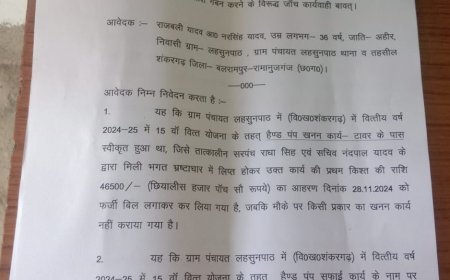 ग्राम पंचायत लहसुनपाठ में भ्रष्टाचार का बोलबाला: बिना काम कराए सरपंच-सचिव ने डकारे लाखों रुपये