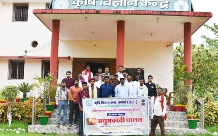 कवर्धा में मधुमक्खी पालन पर 7 दिवसीय प्रशिक्षण शुरू, किसानों को स्वरोजगार की दिशा में मिल रही नई राह