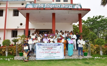 अनुसूचित जाति के युवाओं के लिए उद्यमिता व कौशल प्रशिक्षण, औषधीय खेती से आय बढ़ाने पर जोर