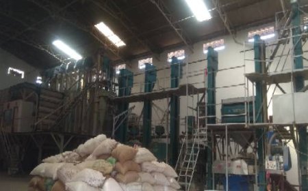 कस्टम मिलिंग में लापरवाही पर सख्ती: धमतरी में ऋषभ राइस प्रोसेसिंग पर प्रकरण दर्ज, जांच में कई अनियमितताएं उजागर