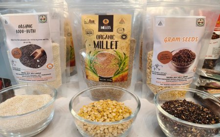 कवर्धा में 23 से 26 मार्च तक संभागीय सरस मेला, महिला समूहों के उत्पादों की लगेगी भव्य प्रदर्शनी