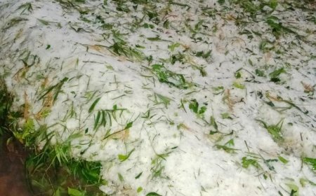 कोंडागांव में भारी ओलावृष्टि से तबाही: बड़ेराजपुर क्षेत्र में किसानों की फसलें बर्बाद