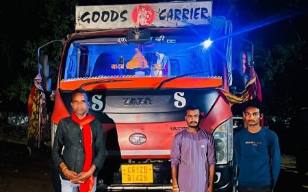 सूरजपुर में नीलगिरी लकड़ी तस्करी का खुलासा, फर्जी अनुज्ञा पत्र से खेल, तीन गिरफ्तार