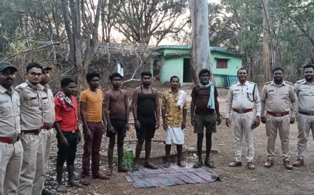 धमतरी में नीलगाय का अवैध शिकार, डॉग स्कॉड की मदद से आरोपी गिरफ्तार