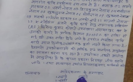 नारायणपुर विद्युत विभाग पर रिश्वतखोरी के गंभीर आरोप, वीडियो वायरल होने से मचा हड़कंप