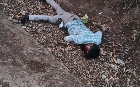 धमधा में भीषण सड़क हादसा: शादी में जा रहे दो लोगों की मौत, तेज रफ्तार बस ने मारी टक्कर