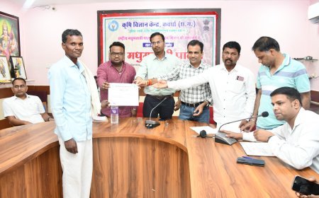 कवर्धा कृषि विज्ञान केन्द्र में मधुमक्खी पालन प्रशिक्षण संपन्न, 28 किसानों को मिला स्वरोजगार का मार्ग