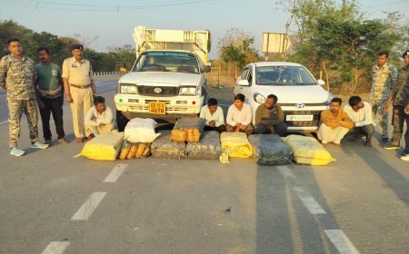 महासमुंद में बड़ी कार्रवाई: तरबूज के नीचे छिपाकर ले जा रहे 2.25 क्विंटल गांजा जब्त, 6 तस्कर गिरफ्तार