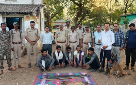 बायसन पर तीर से हमला करने वाले 5 आरोपी गिरफ्तार, वन विभाग ने बचाई वन्यजीव की जान