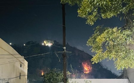 नवरात्रि के अंतिम दिन डोंगरगढ़ की पहाड़ी में लगी आग, फायर ब्रिगेड और वन विभाग जुटे