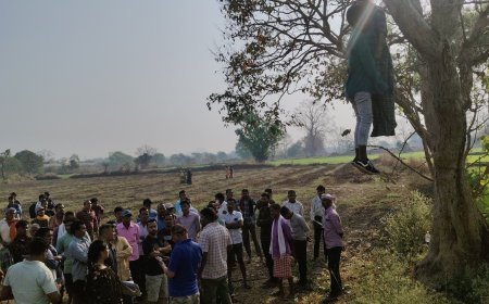 महासमुंद में प्रेमी जोड़े की संदिग्ध मौत: पिथौरा के पास पेड़ से लटके मिले दोनों