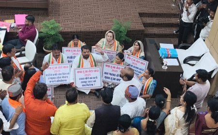 रायपुर नगर निगम सामान्य सभा आज: महापौर मीनल चौबे पेश करेंगी 2026-27 का बजट